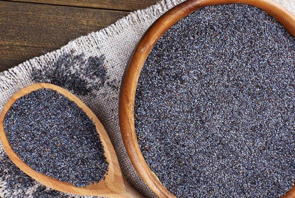 Blue Poppy Seed